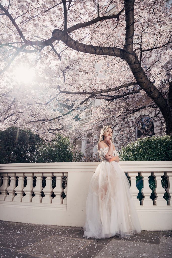 Wedding Gallery - Sakura Blossom in Notting Hill